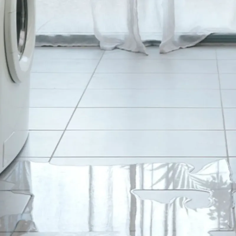 Appliance Leak Cleanup in East Honolulu, HI